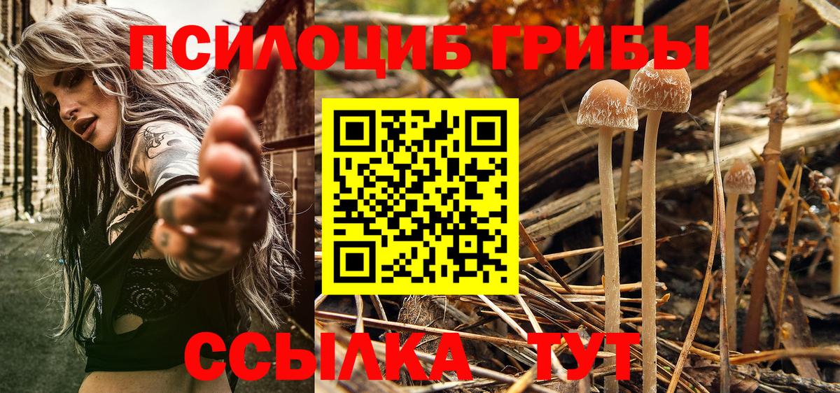 Псилоцибиновые грибы Magic Shrooms  Вход с VPN  Туапсе 